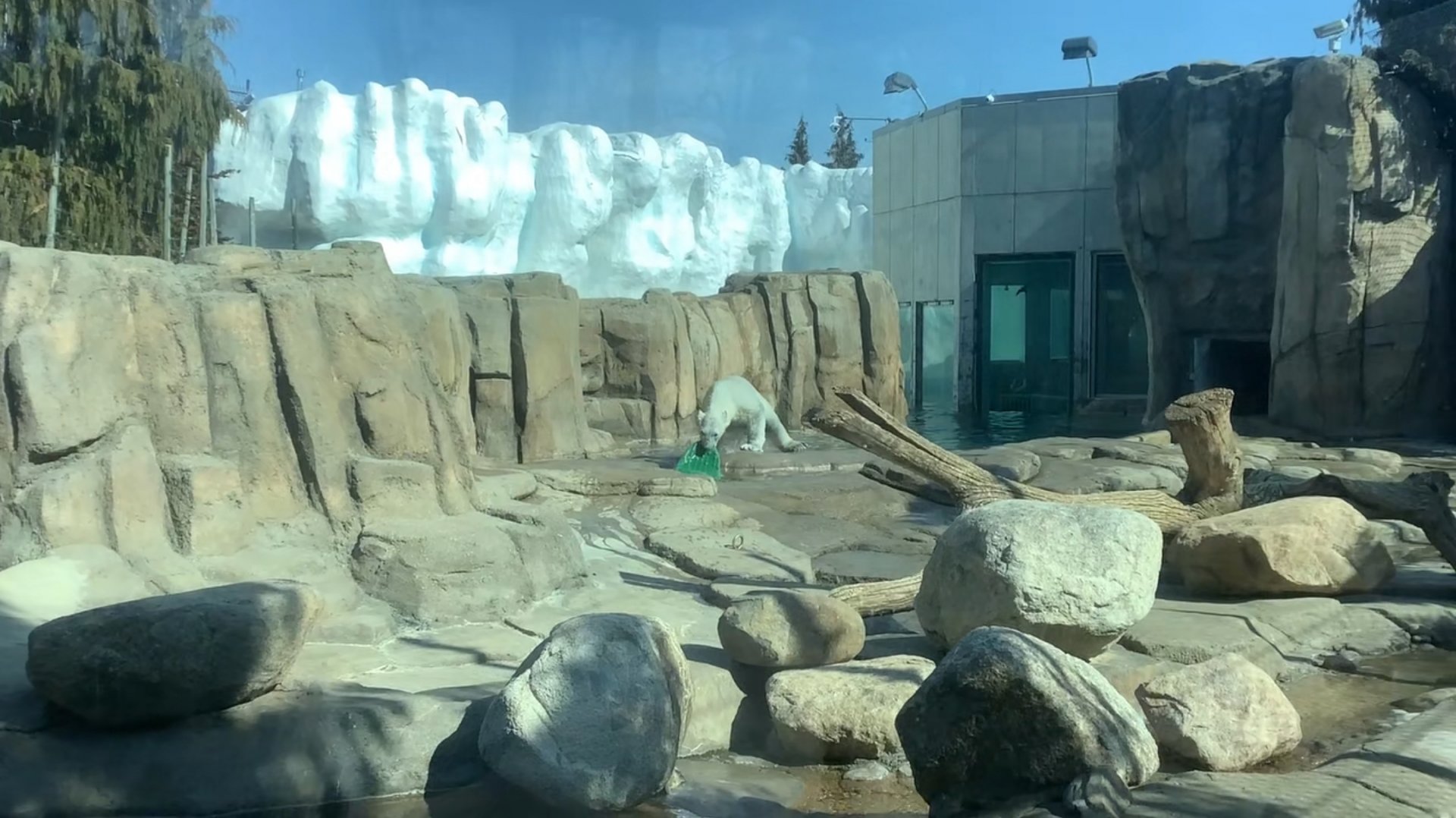 Toledo Zoo-Arctic Encounter: Polar Bear exhibit-Left Viewing