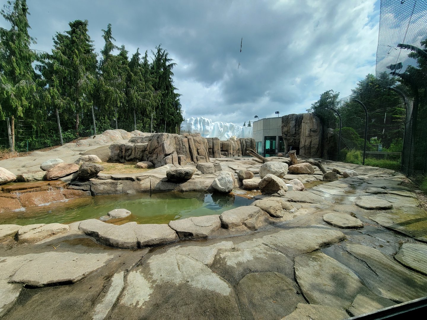 Toledo Zoo, Arctic Encounter - Polar bear yard, far side of the exhibit