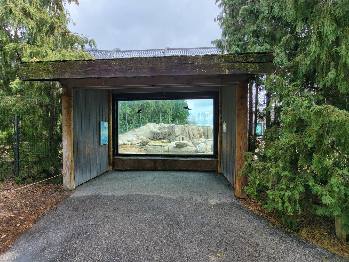 Toledo Zoo, Arctic Encounter - Polar bear yard viewing window from far side of the exhibit