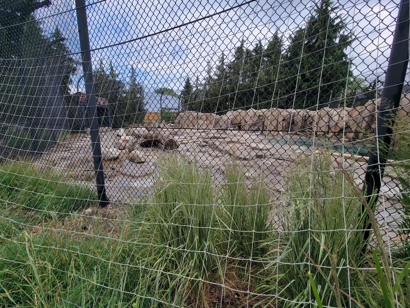 Toledo Zoo, Arctic Encounter - Polar bear yard