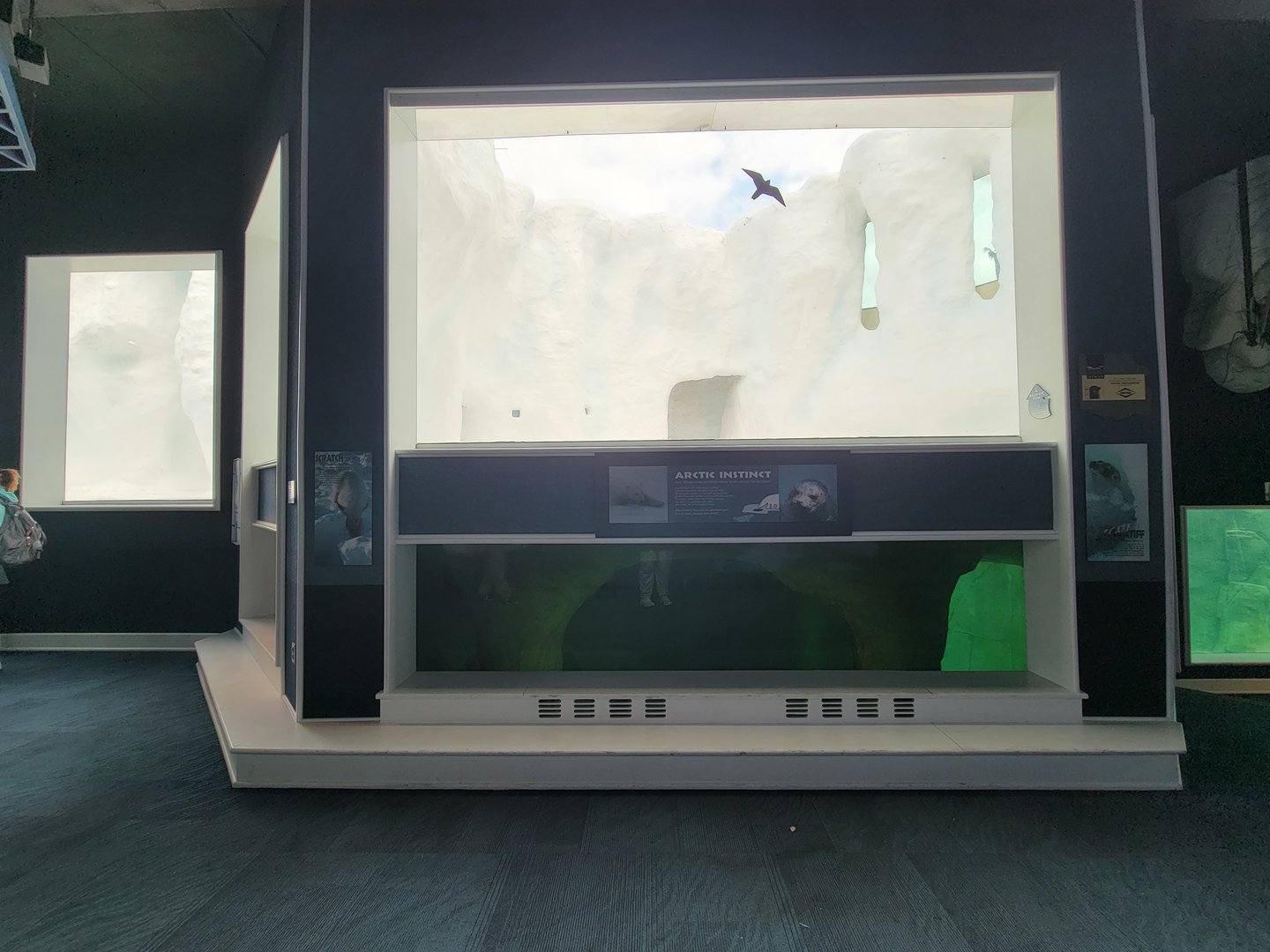 Toledo Zoo, Arctic Encounter - Polar bears