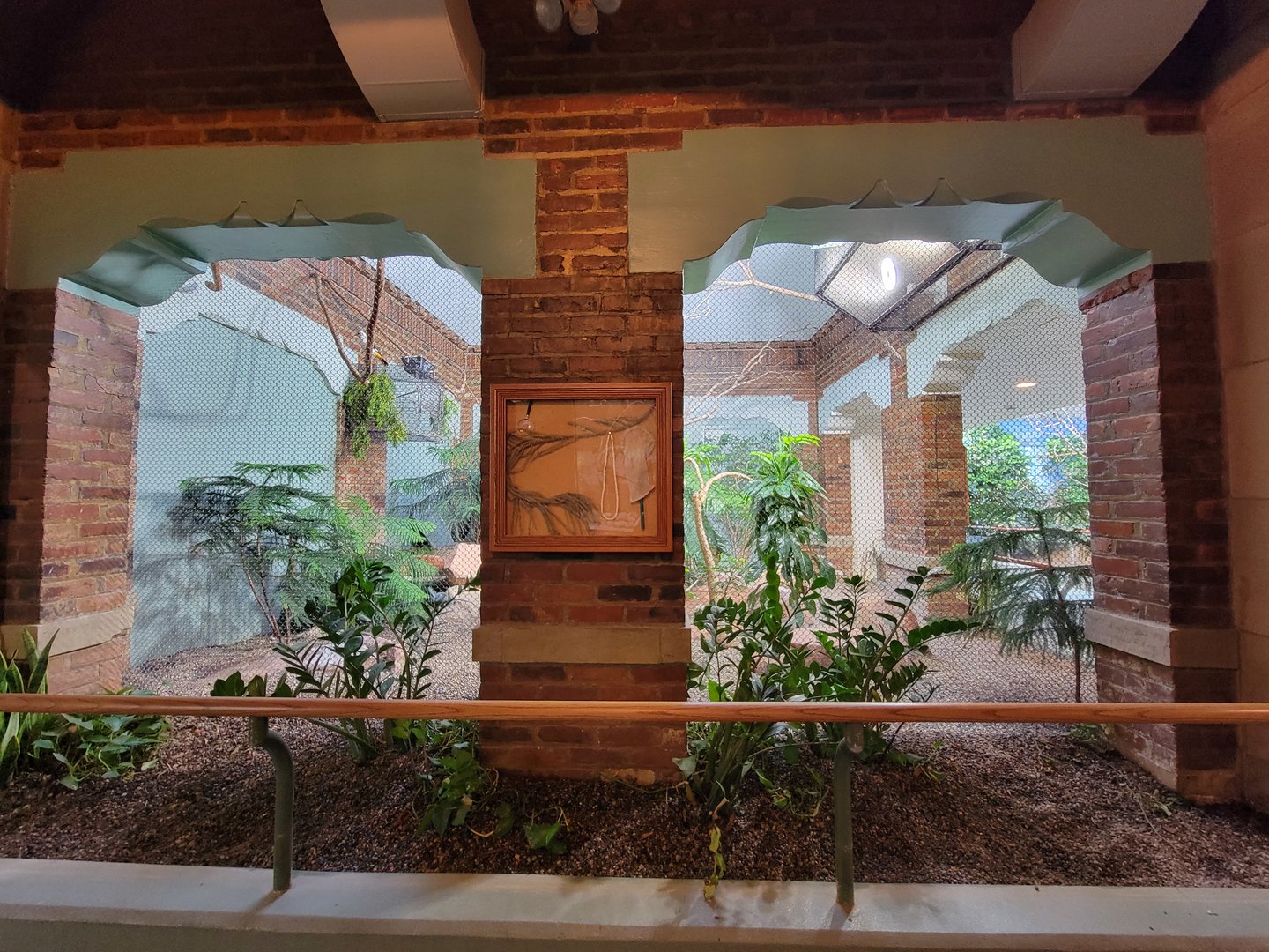 Toledo Zoo, Aviary - Africa