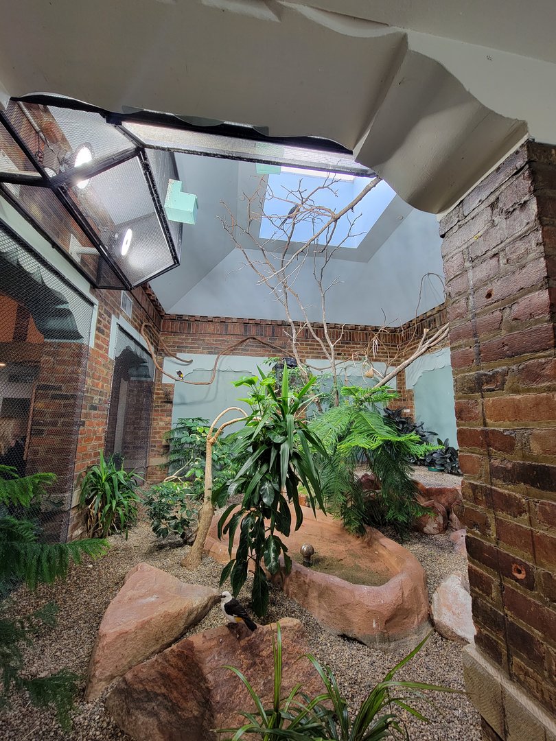 Toledo Zoo, Aviary - Africa