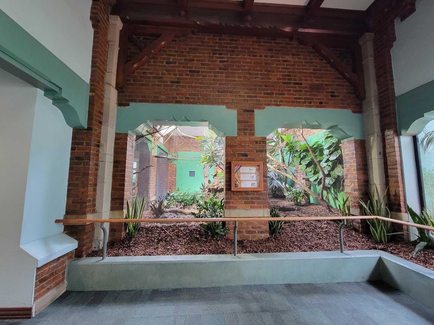 Toledo Zoo, Aviary - Andean cock-of-the-rock exhibit side view