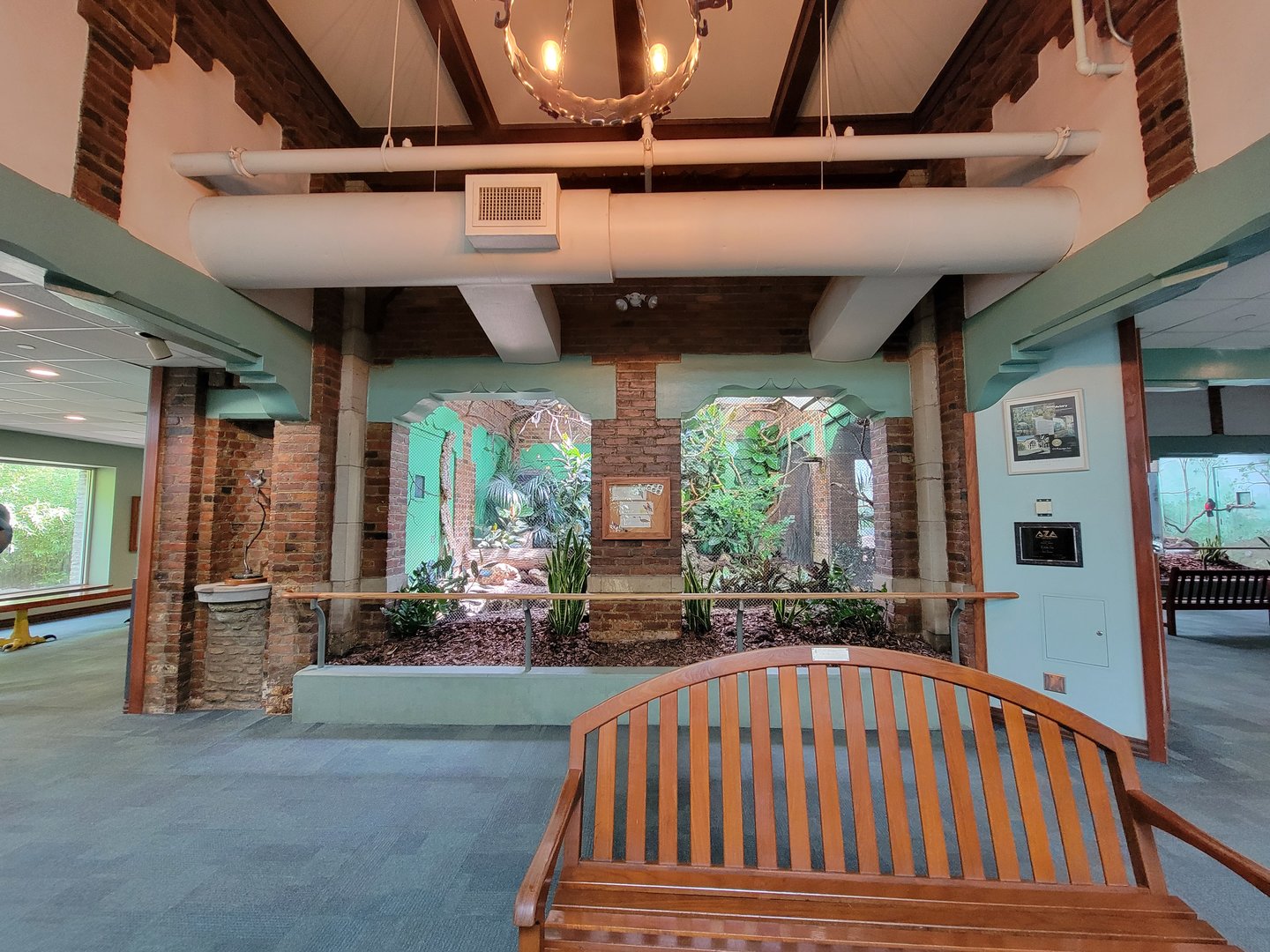 Toledo Zoo, Aviary - Andean cock-of-the-rock exhibit