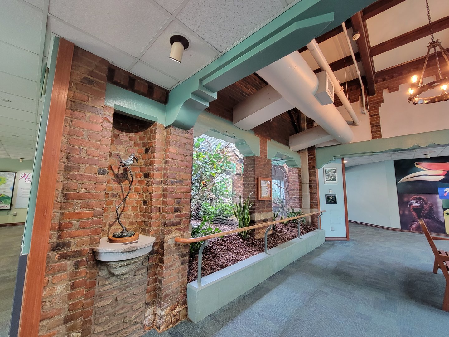 Toledo Zoo, Aviary - Architecture around Andean cock-of-the-rock exhibit