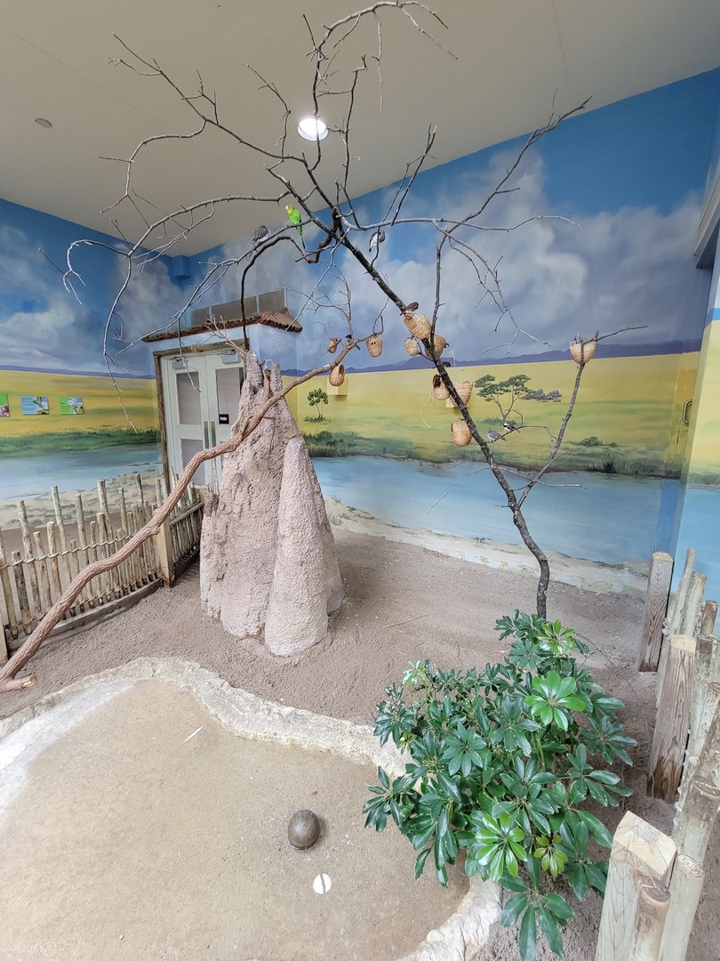 Toledo Zoo, Aviary - Australian Grasslands