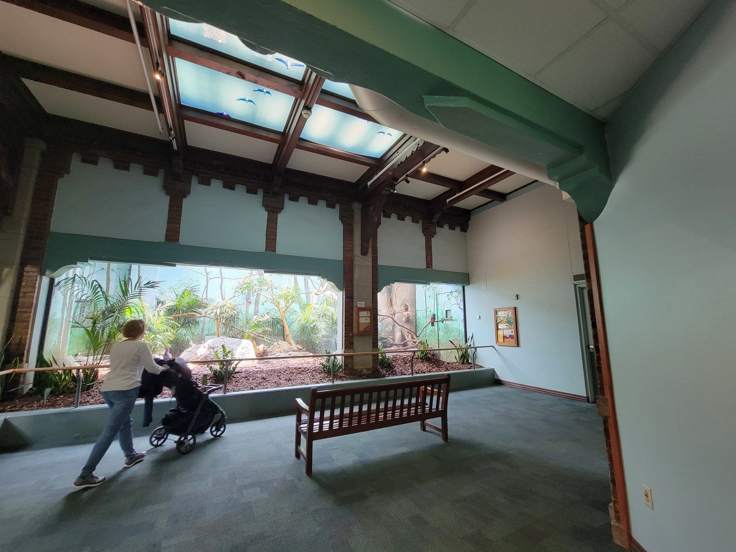 Toledo Zoo, Aviary - Chevrotain exhibit