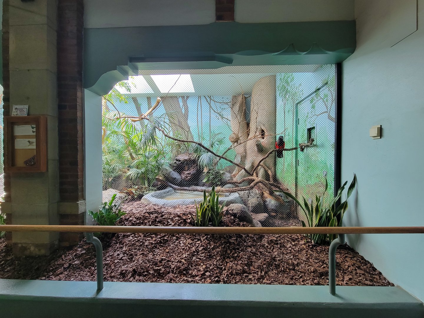 Toledo Zoo, Aviary - Chevrotain exhibit