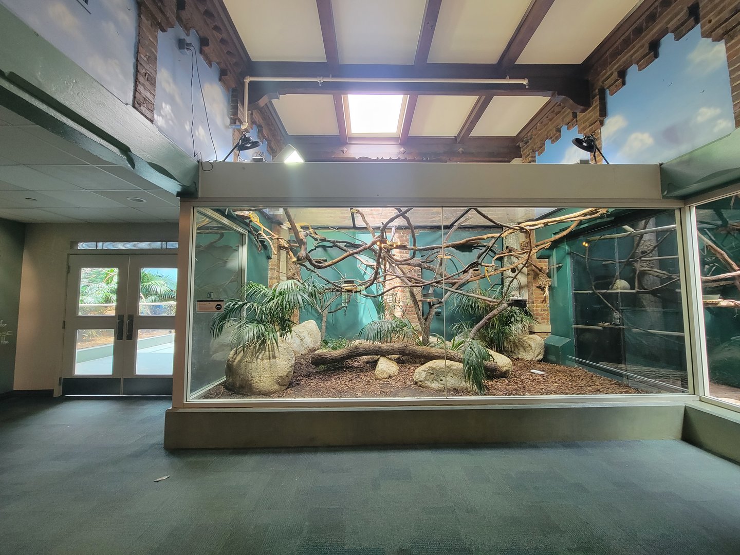 Toledo Zoo, Aviary - Emperor tamarins