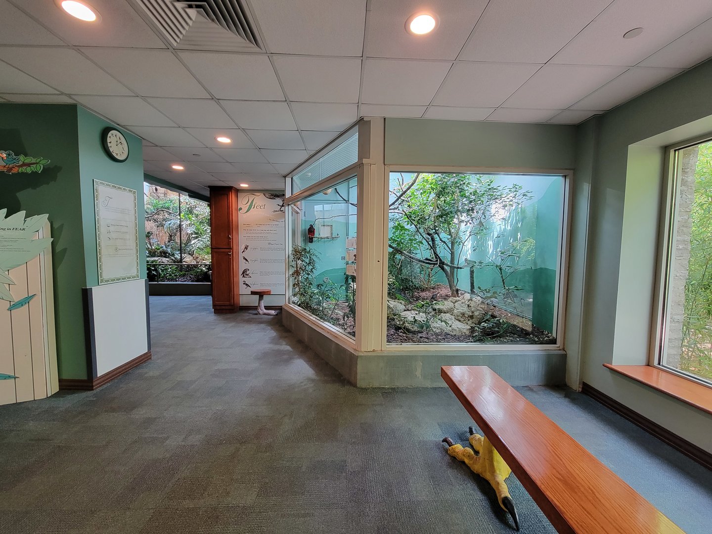 Toledo Zoo, Aviary - Entry exhibits