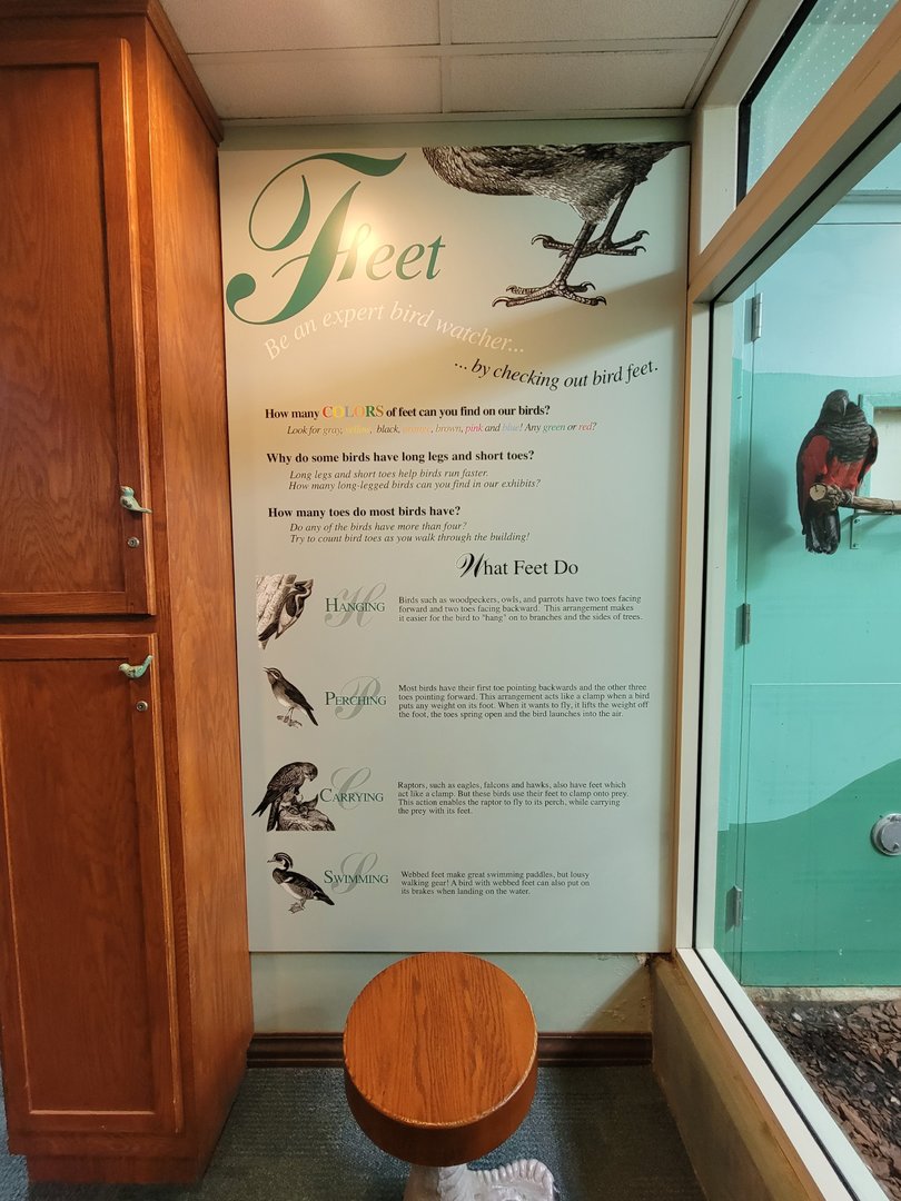 Toledo Zoo, Aviary - Feet