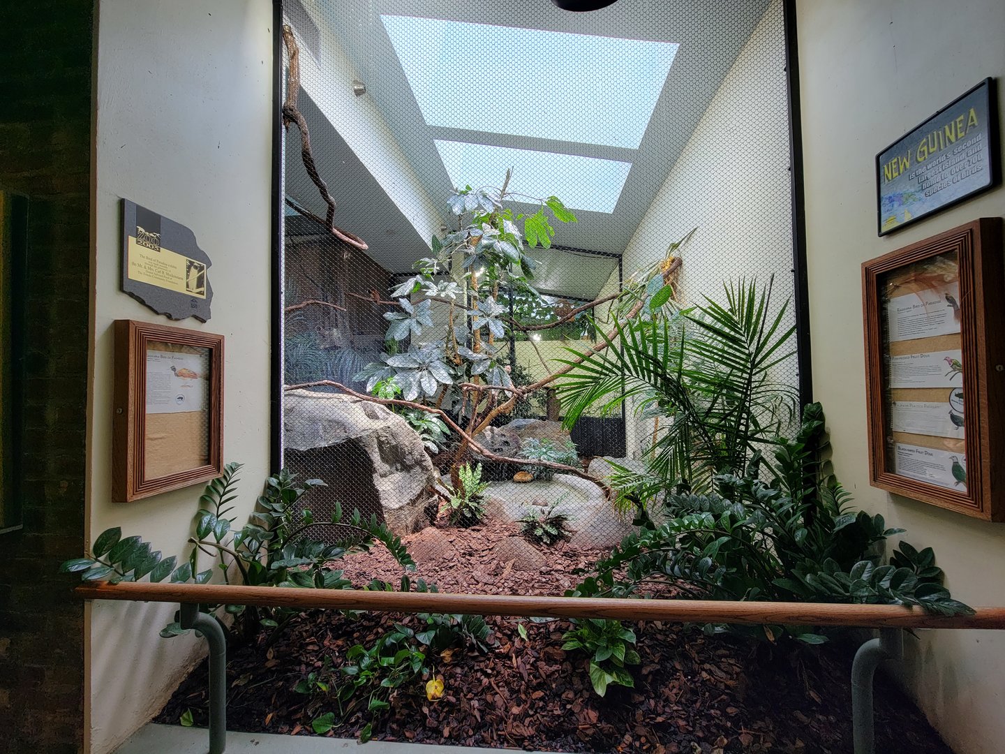 Toledo Zoo, Aviary - New Guinea