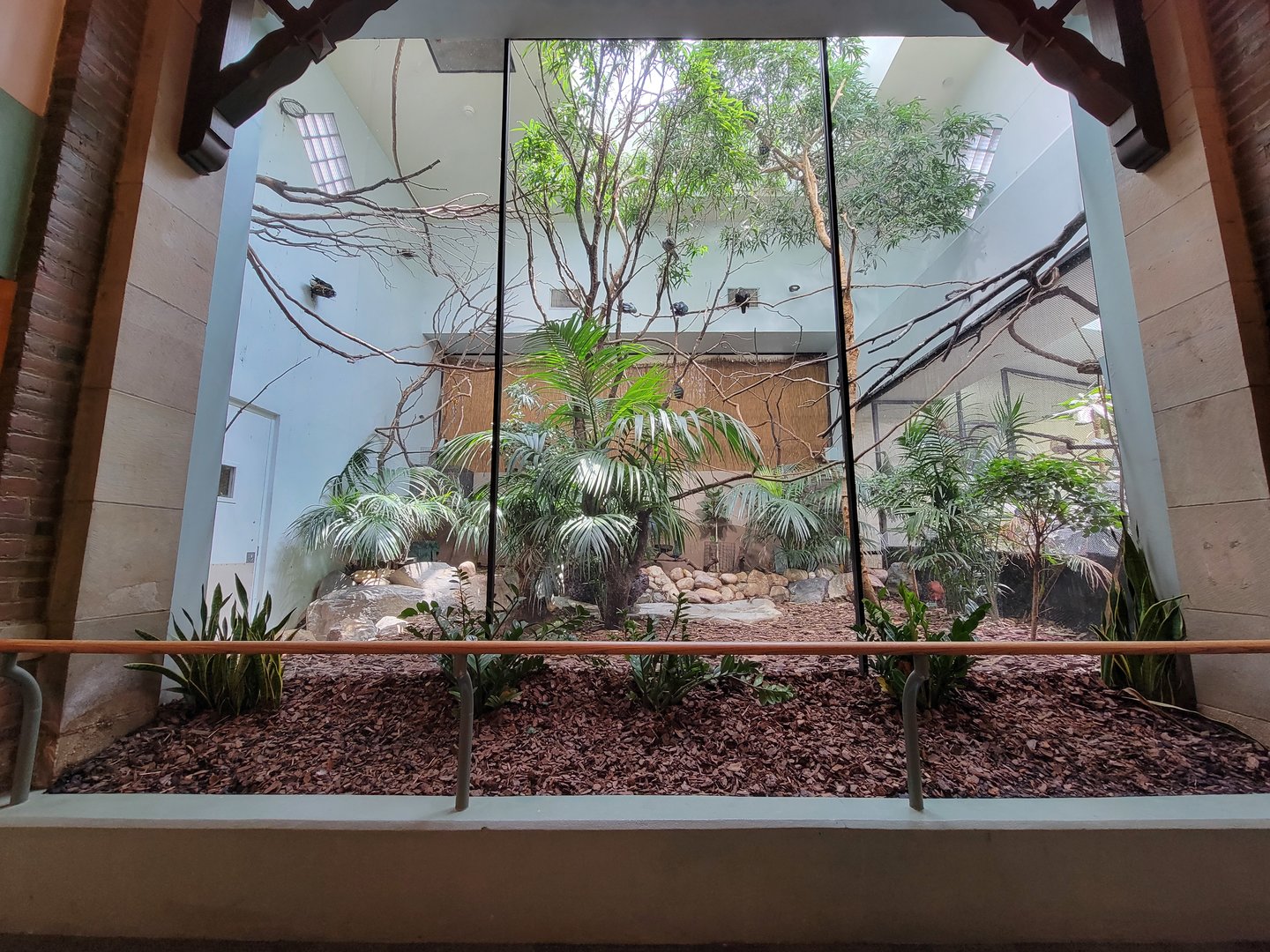 Toledo Zoo, Aviary - New Guinea