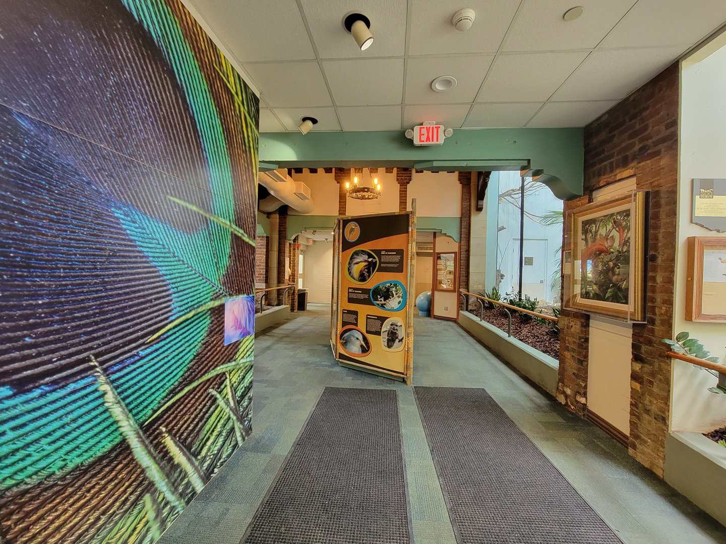 Toledo Zoo, Aviary - Next area