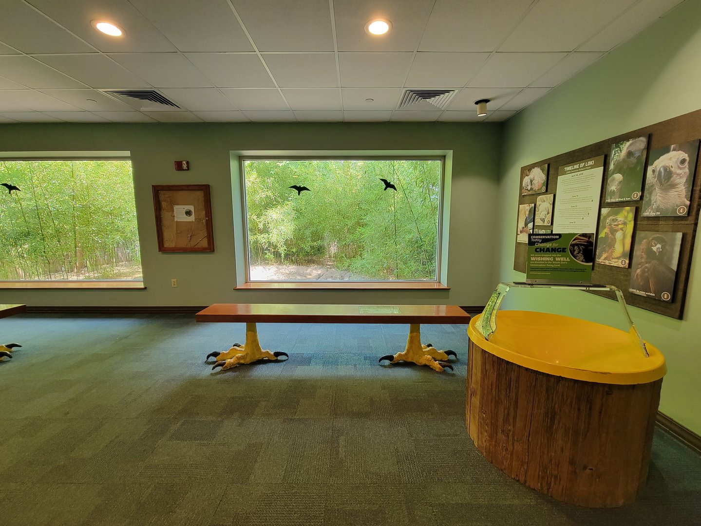 Toledo Zoo, Aviary - Southern pudu exhibit