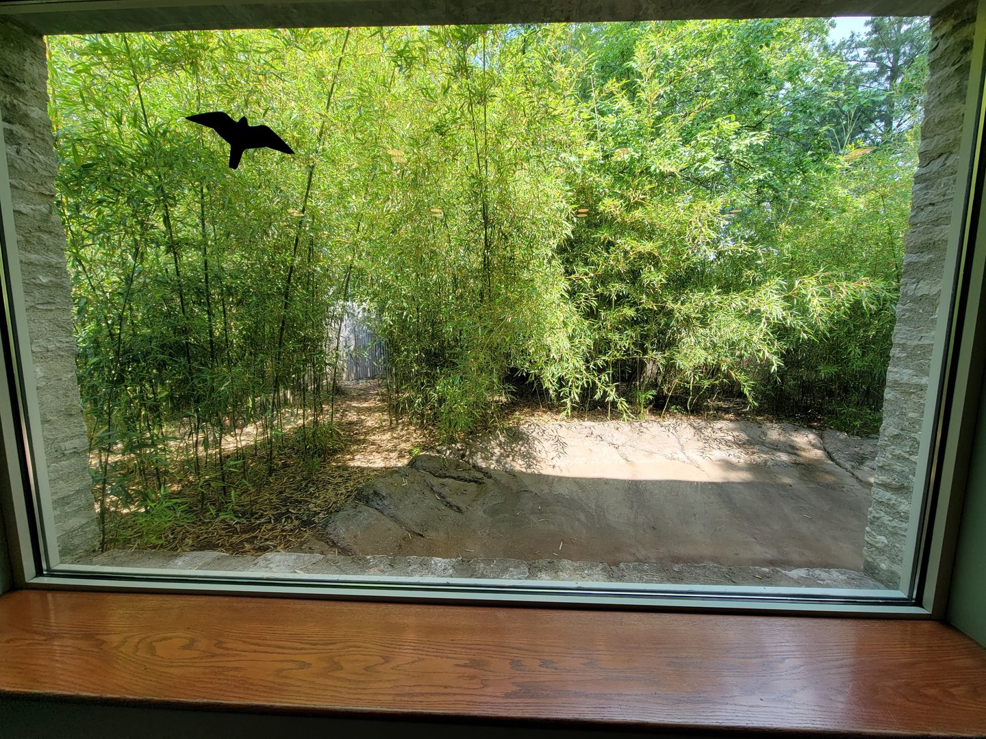 Toledo Zoo, Aviary - Southern pudu exhibit
