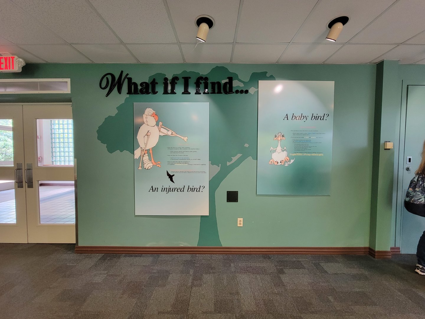 Toledo Zoo, Aviary - What if I find... an injured bird? A baby bird?