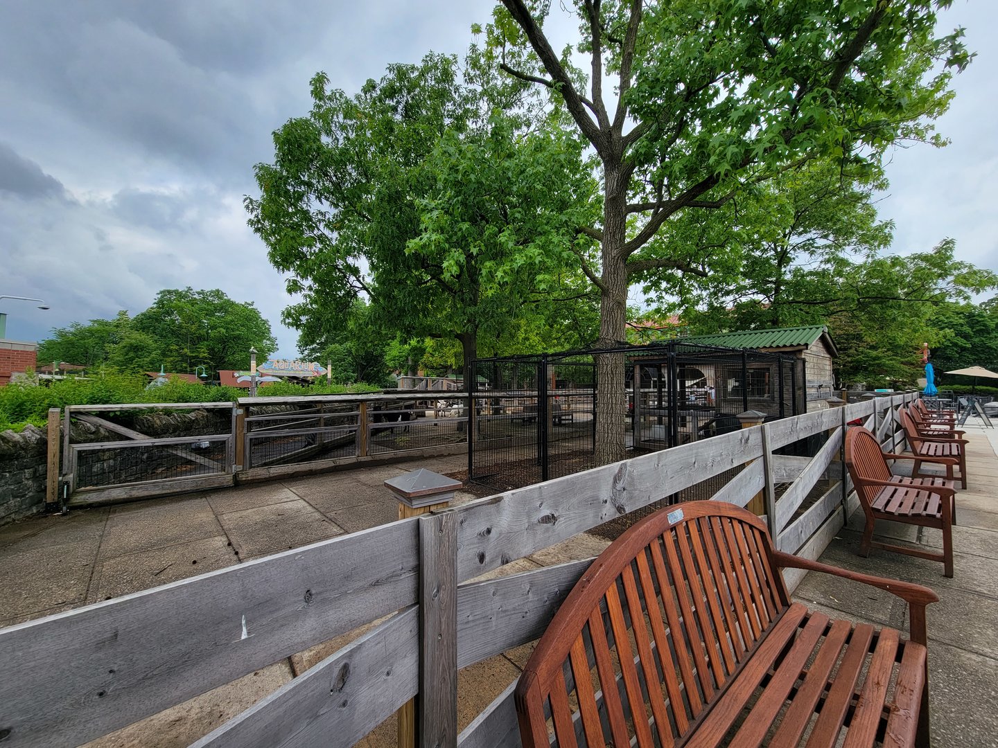 Toledo Zoo - Barnyard