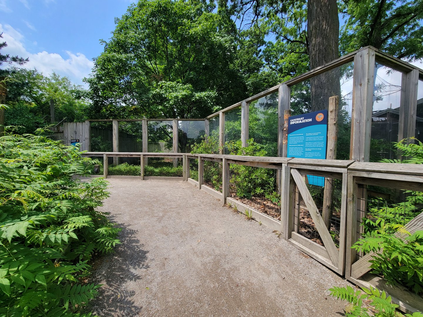 Toledo Zoo - Cassowary Crossing, Skeldon Plaza
