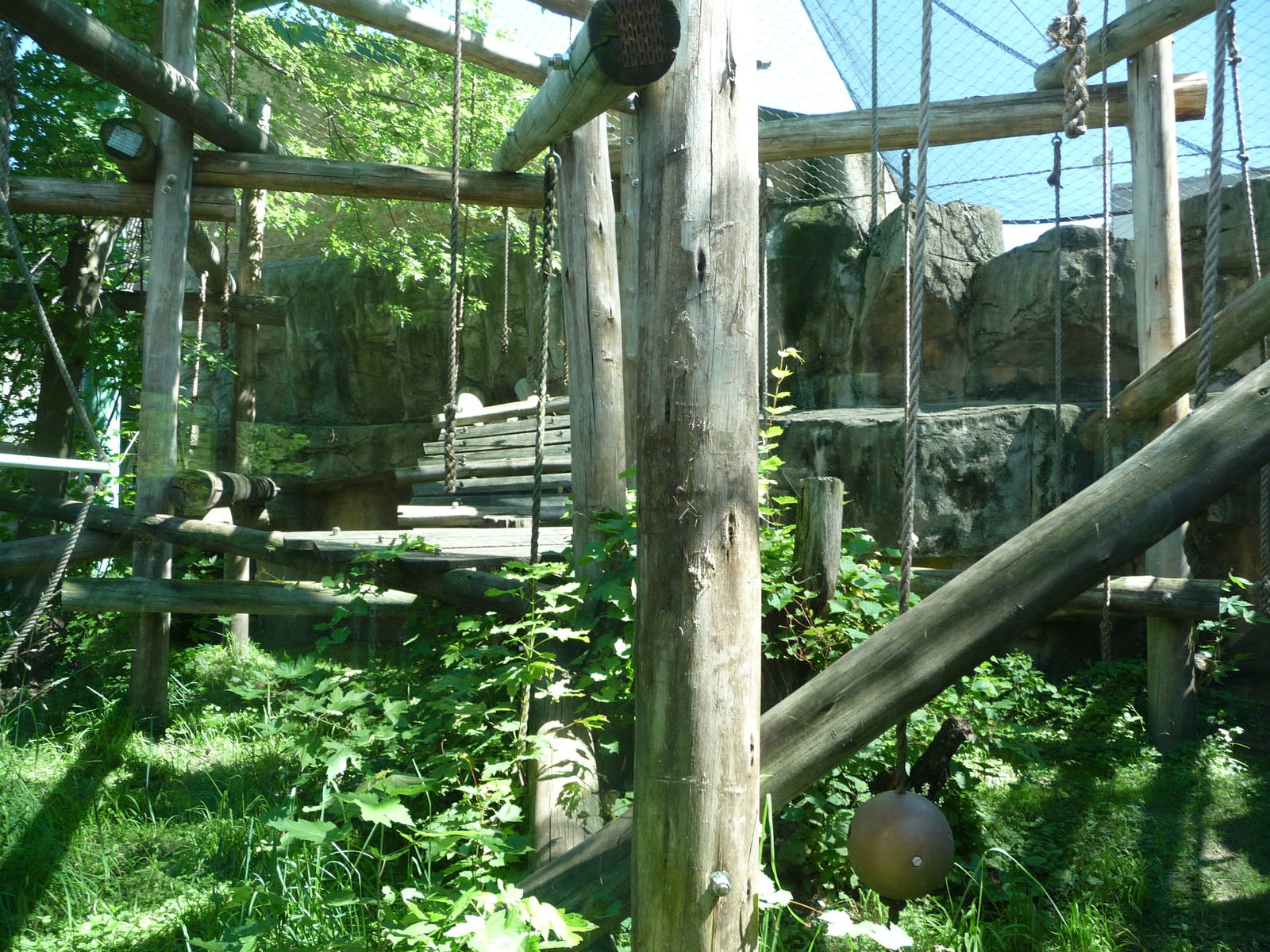 Toledo Zoo - Chimpanzee Exhibit