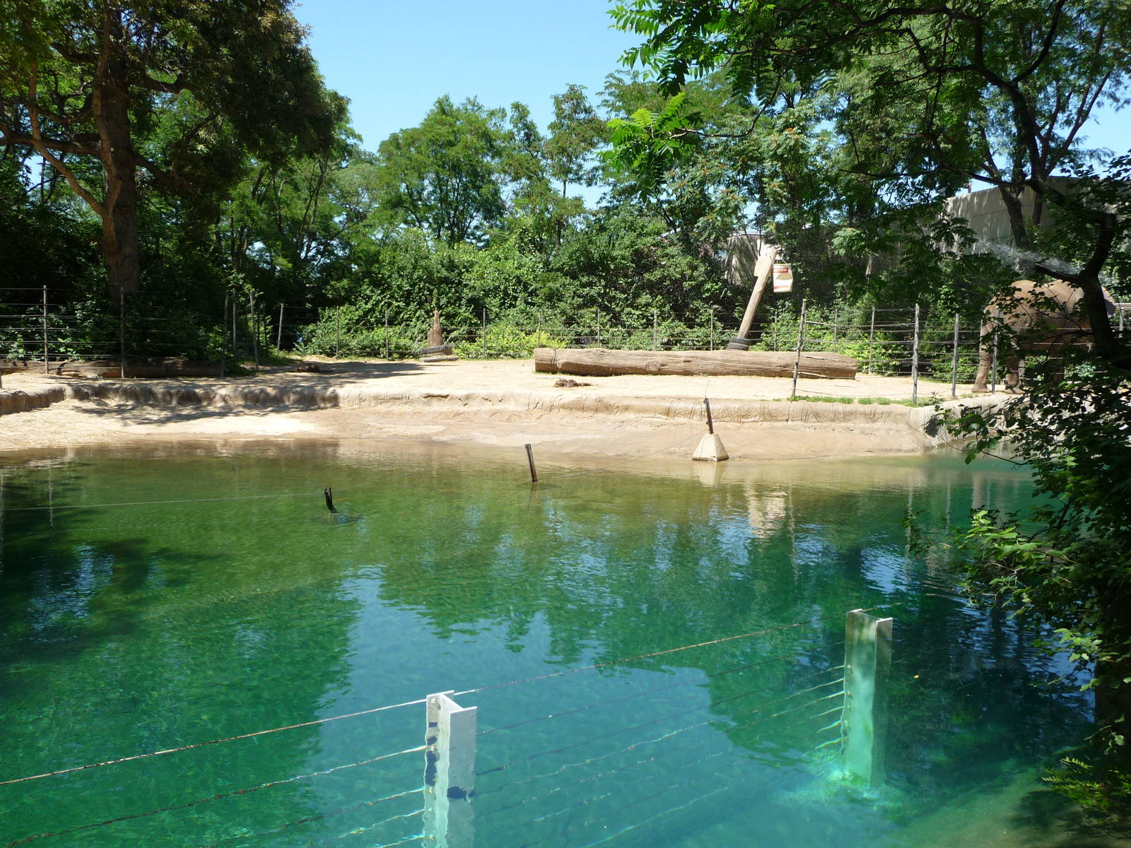 Toledo Zoo - Elephant Pool