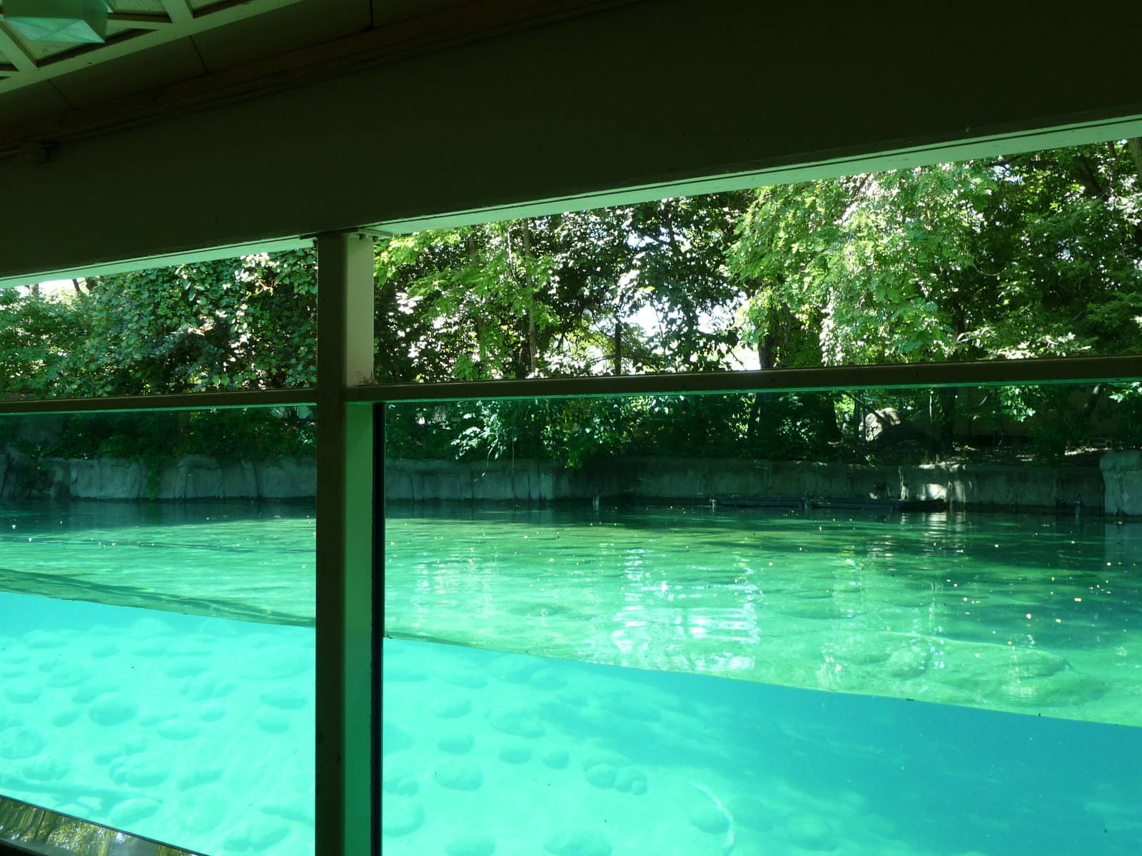 Toledo Zoo - Hippoquarium