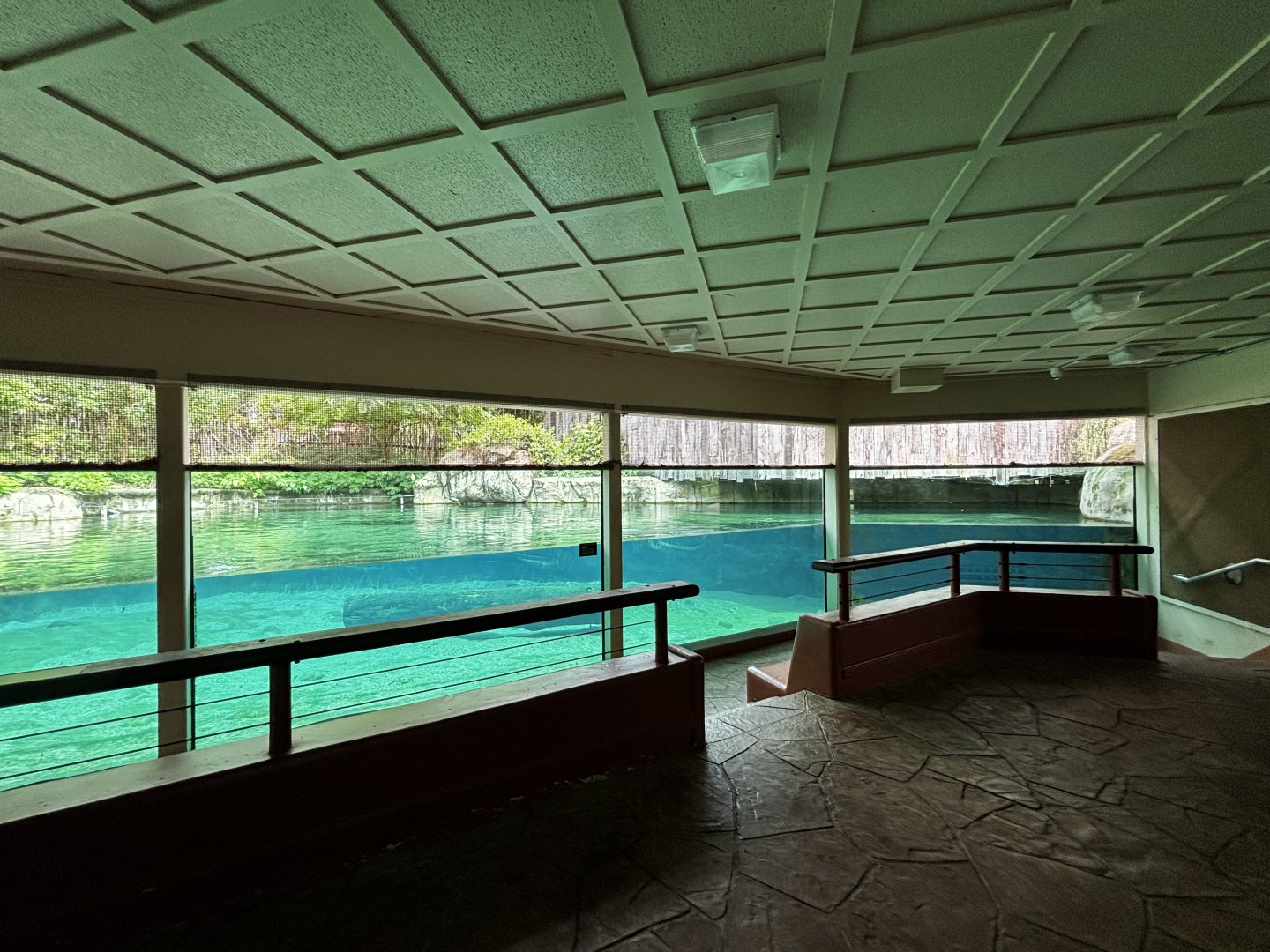 Toledo Zoo - Hippoquarium