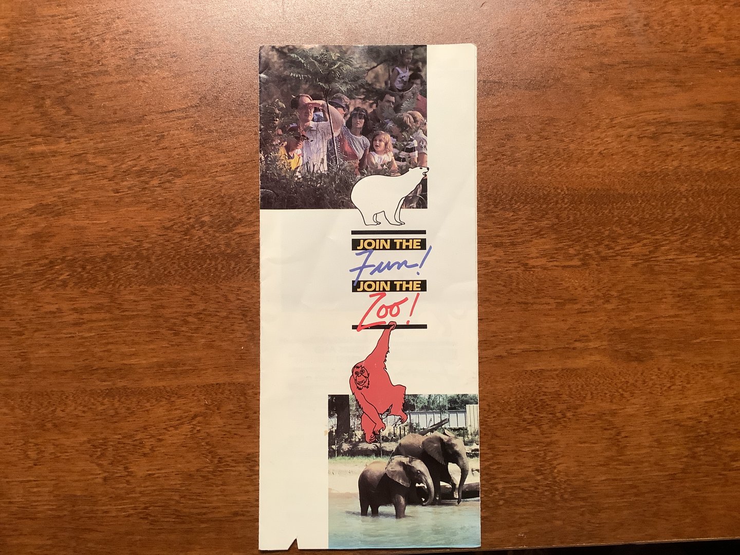 Toledo Zoo Members Guide from the 1990s (No Date)
