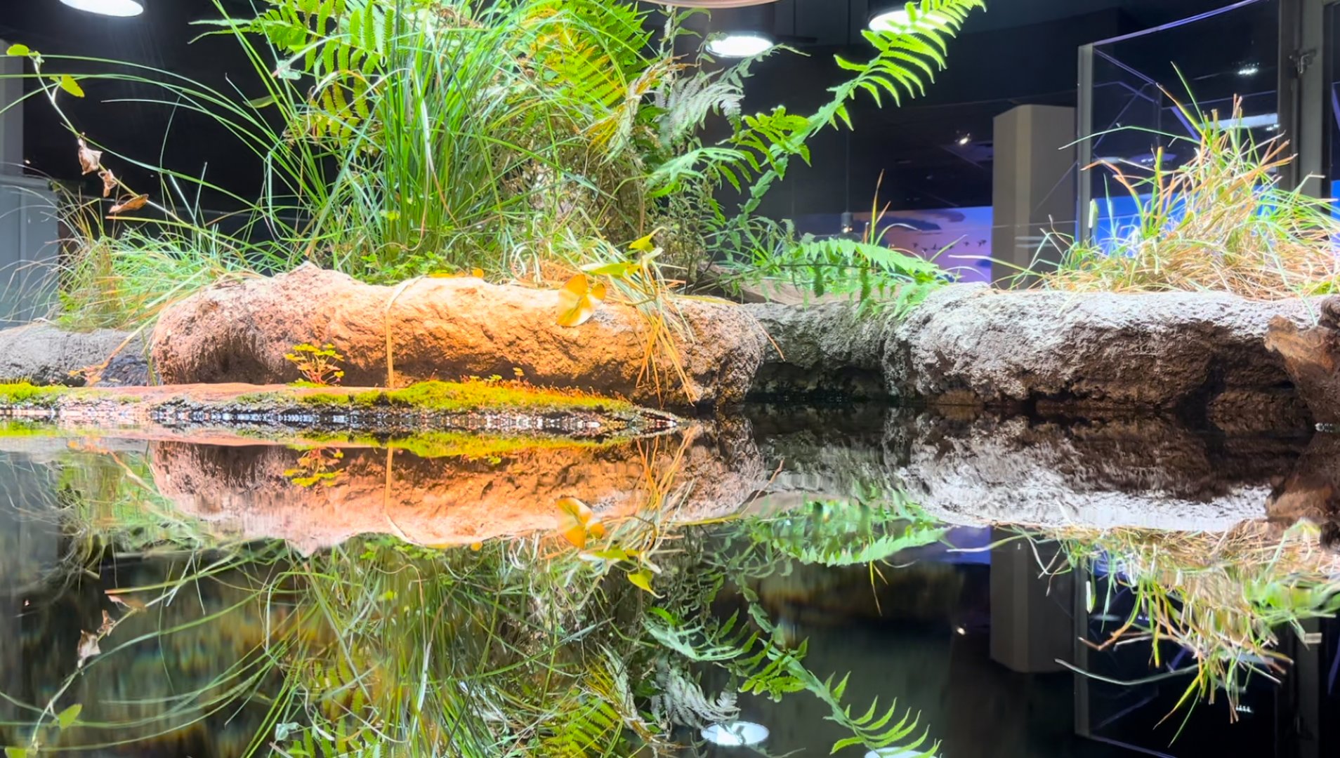 Toledo Zoo - Museum of Science: Ecosystem Rotunda