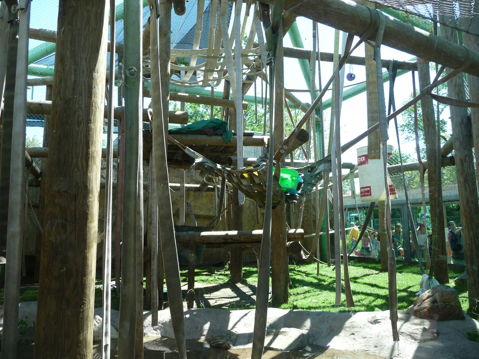 Toledo Zoo - Orangutan Exhibit