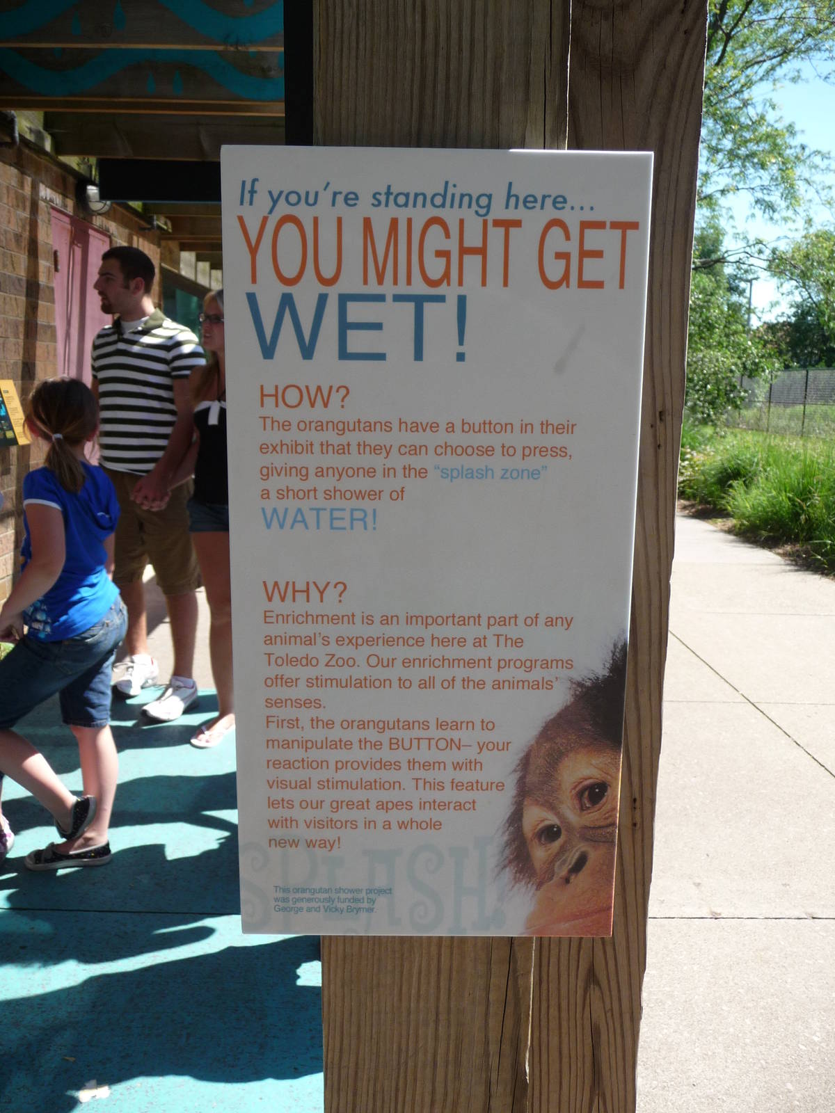 Toledo Zoo - Orangutan Exhibit