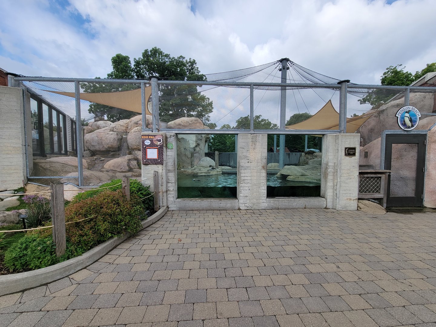 Toledo Zoo - Penguin Beach