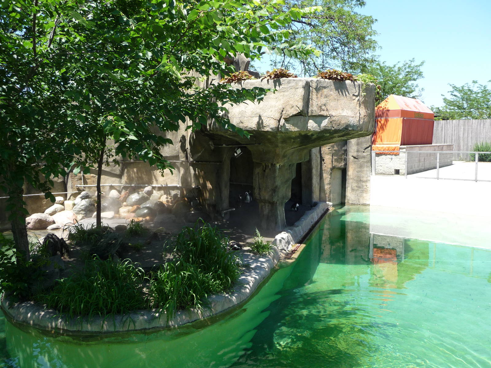 Toledo Zoo - Penguin Exhibit