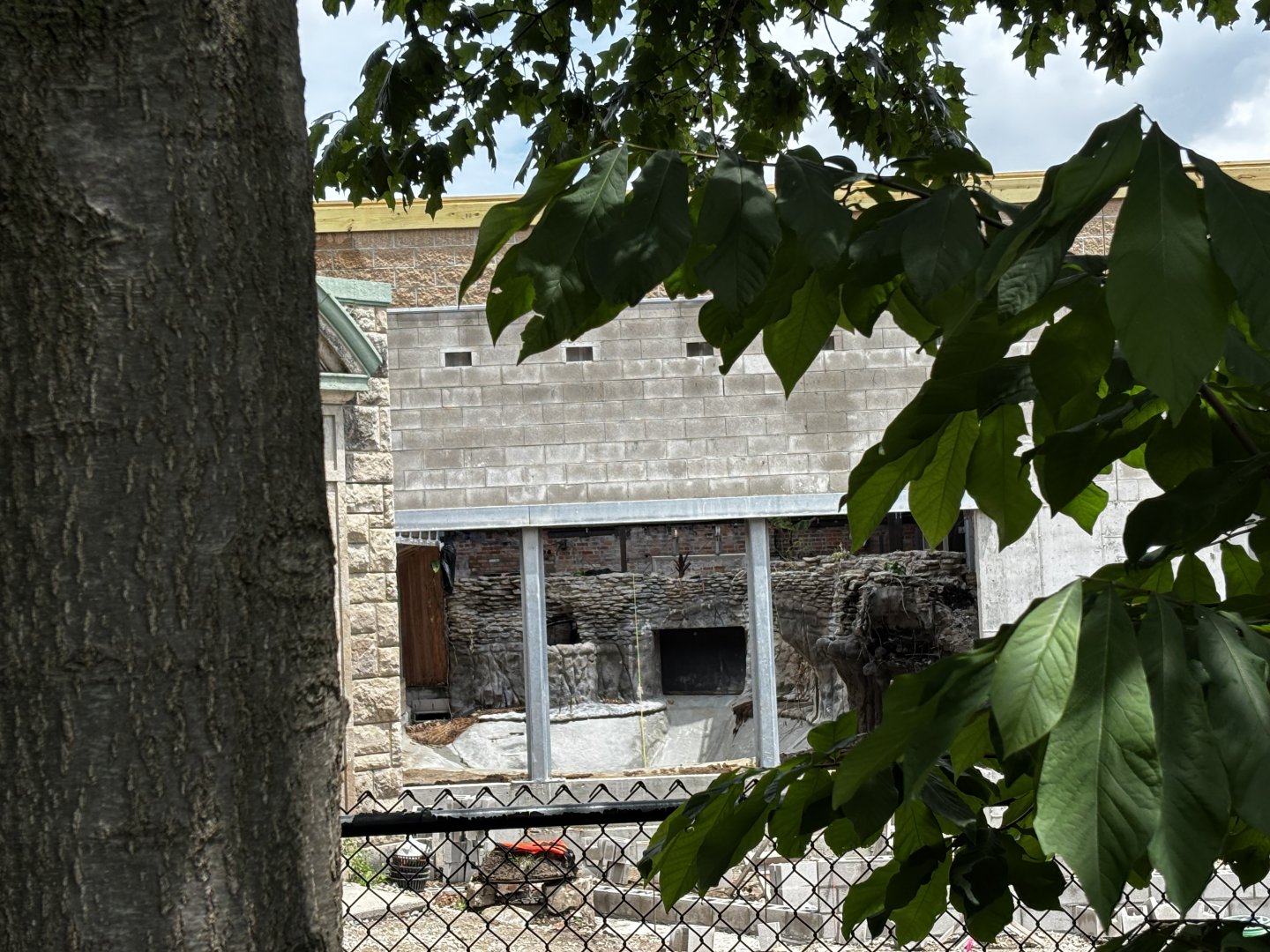 Toledo Zoo - Reptile House Renovation - Saltwater Crocodile exhibit