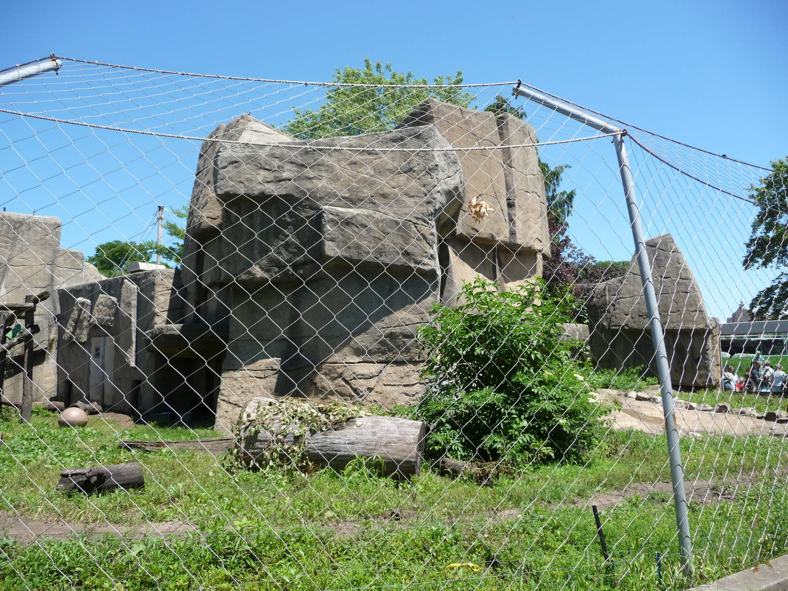 Toledo Zoo - Sloth Bear Exhibit