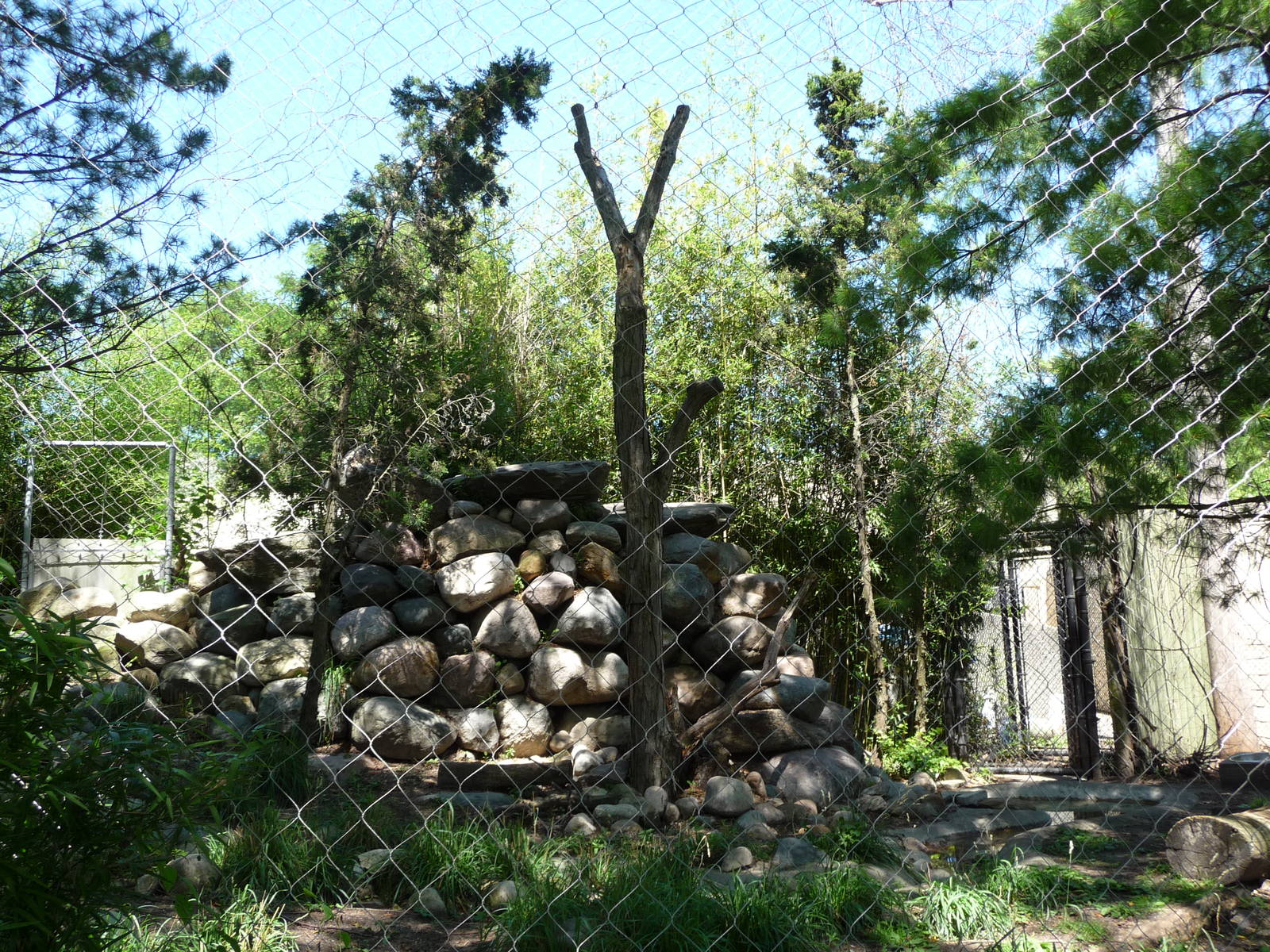 Toledo Zoo - Snow Leopard Exhibit