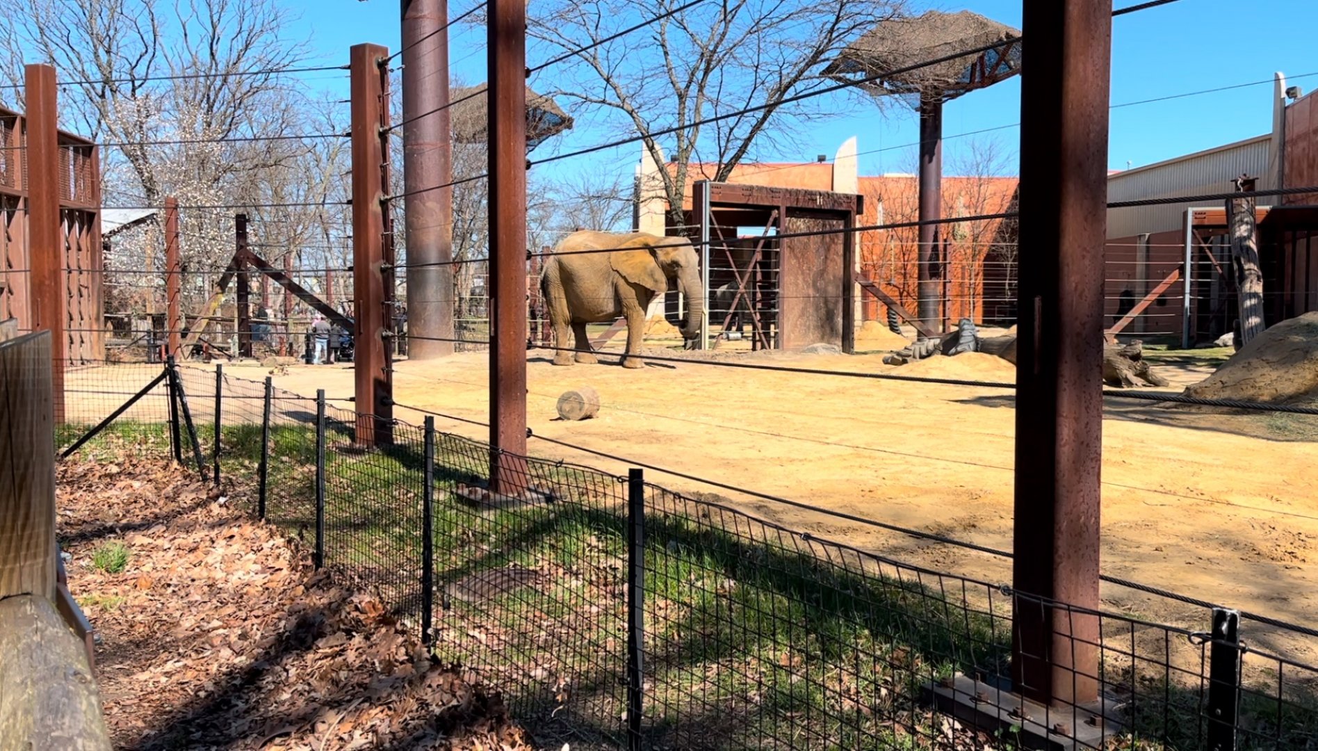 Toledo Zoo Tembo Trail Elephant Exhibit (Bull Yard)