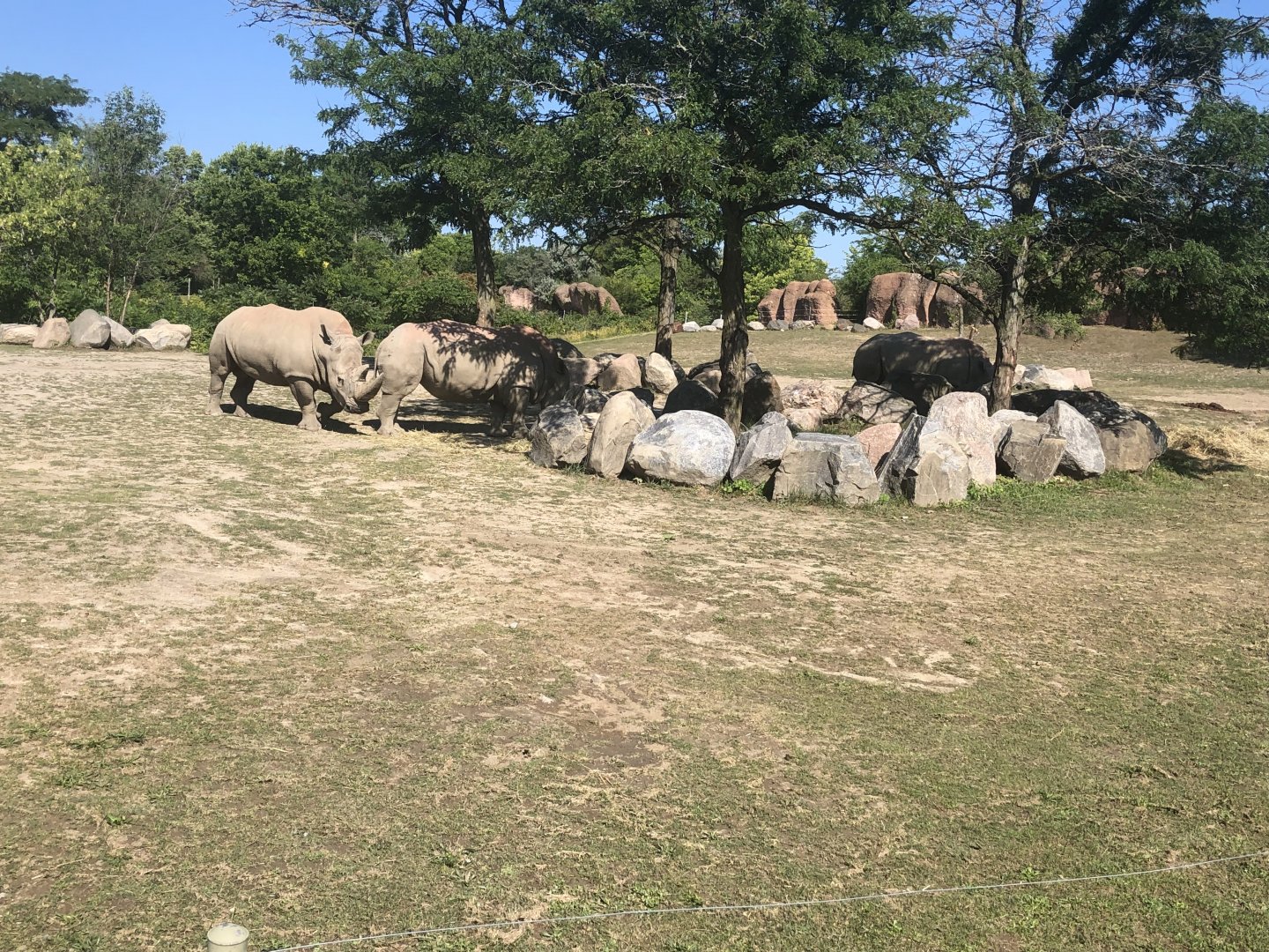 Tom making moves on Sabi