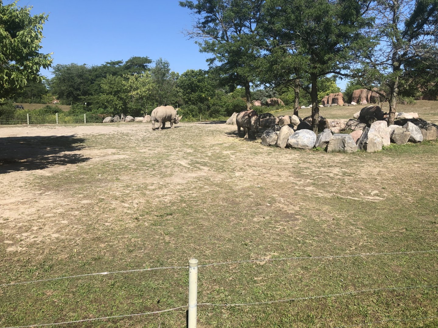 Tom running away from Sabi