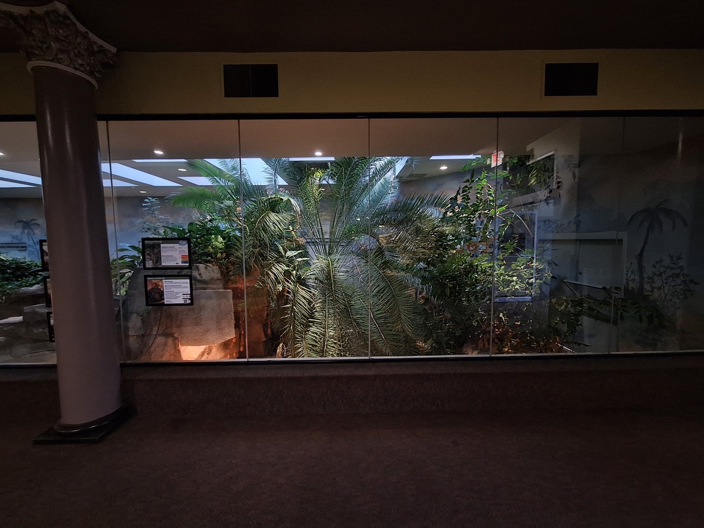 Tomistoma enclosure lower level