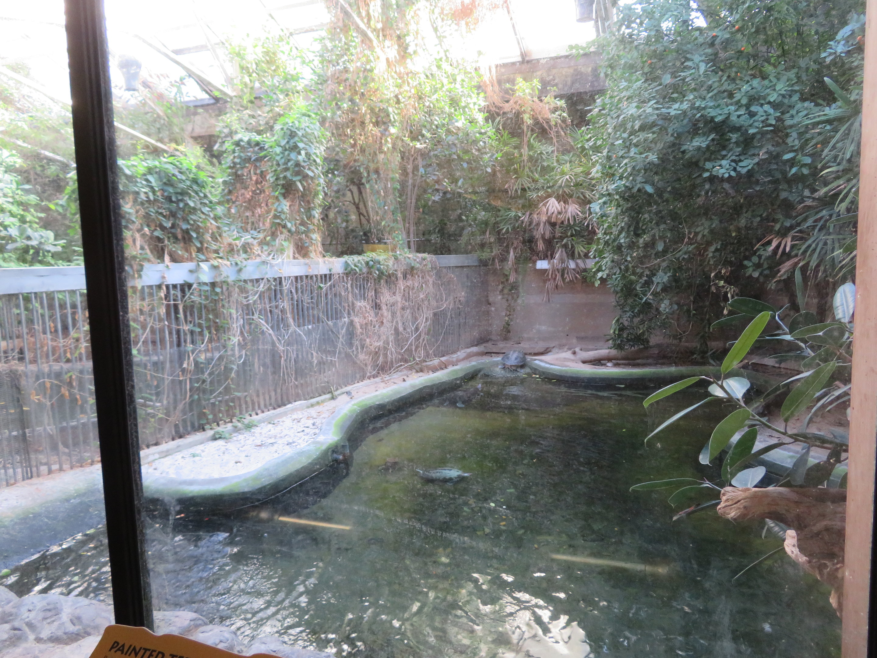 Tomistoma/Terrapin Exhibit