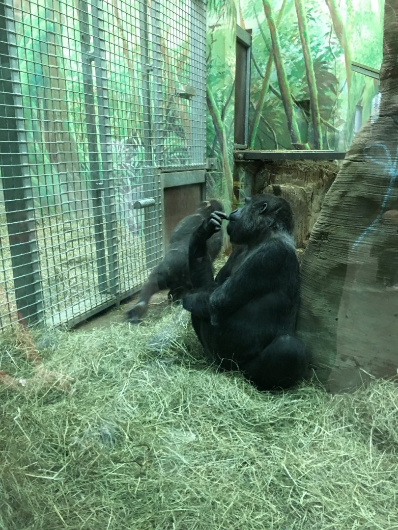 Toni with grandson JJ