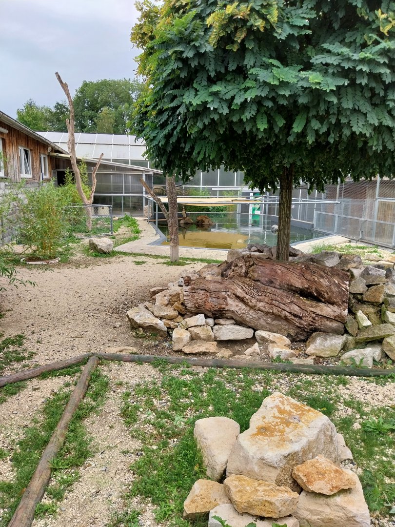 Toni's zoo Rothenburg - African penguin enclosure