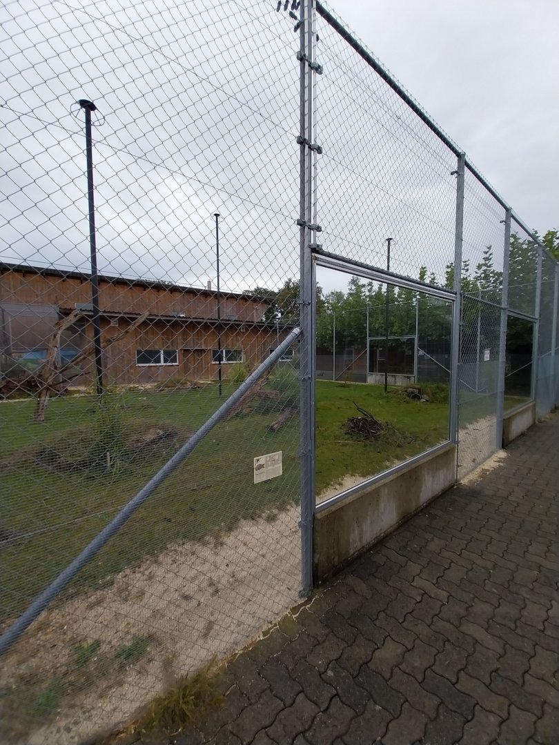 Toni's zoo Rothenburg - African spurred tortoise enclosure
