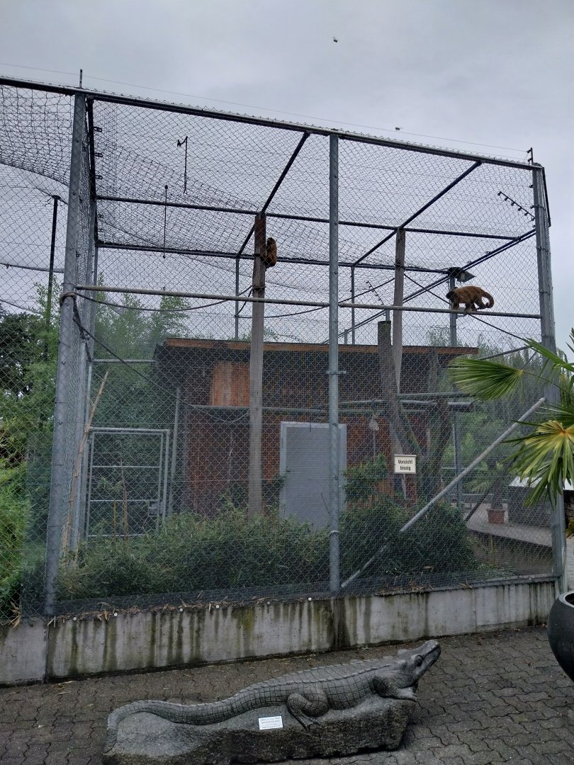 Toni's zoo Rothenburg - Black-capped capuchin enclosure