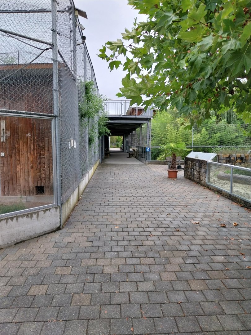 Toni's zoo Rothenburg - Central lane