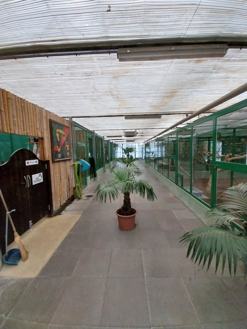 Toni's zoo Rothenburg - Central lane