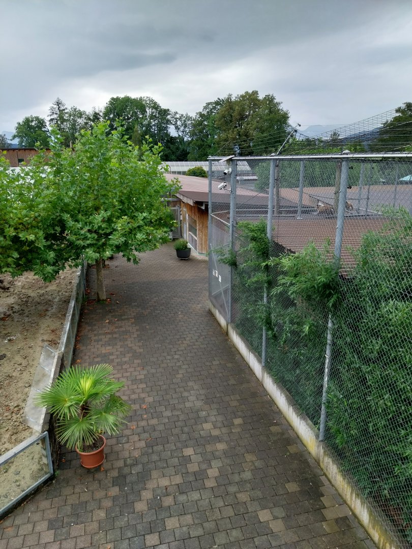 Toni's zoo Rothenburg - General view