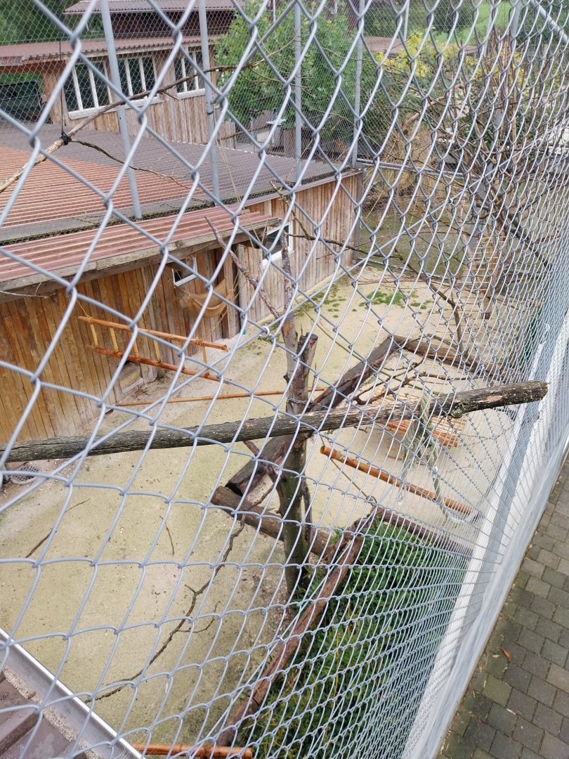 Toni's zoo Rothenburg - Great aviary - separation section